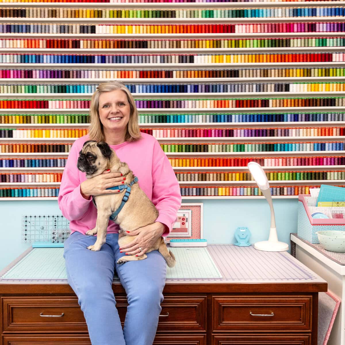 fabric storage and notion storage